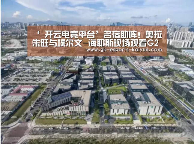  开云电竞官网