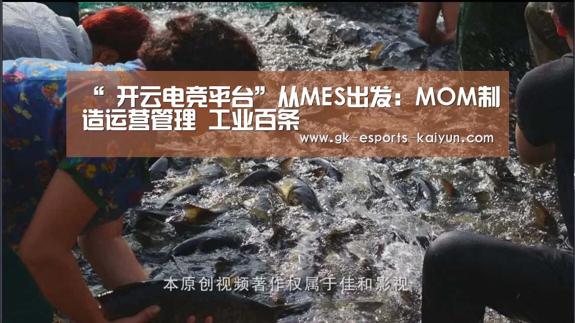 “ 开云电竞平台”从MES出发:MOM制造运营管理 工业百条(图2) 开云电竞平台
