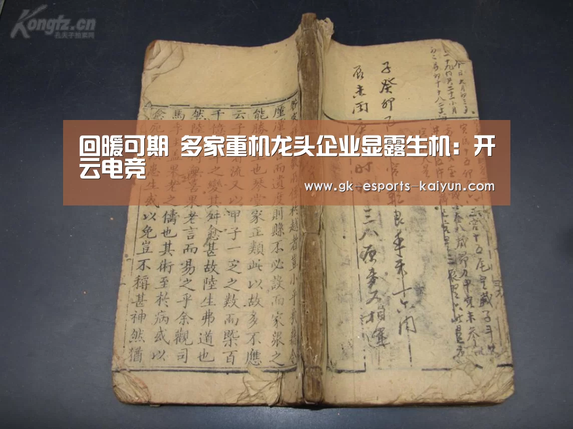 回暖可期 多家重机龙头企业显露生机:开云电竞(图1) 开云电竞
