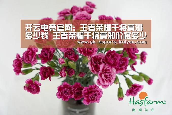 开云电竞官网:王者荣耀干将莫邪多少钱 王者荣耀干将莫邪价格多少(图1) kaiyun电竞